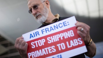 James Cromwell to report to jail for plant protest