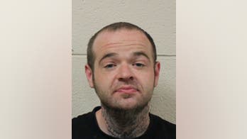 Would-be thief foiled by angry cat in Maryland