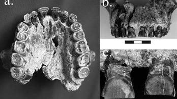 Meet the world's oldest known righty
