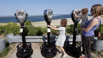 Shark sightings off Cape Cod a boon for tourism