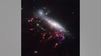 'Jellyfish' galaxies reveal feeding habits of monster black holes