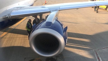 JetBlue flight makes emergency landing after striking bird; passenger claims engine blade cracked