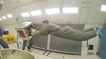 Gecko-inspired robot could snag space junk