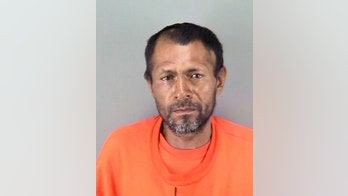 Former lawyers for illegal immigrant in Kate Steinle murder case ask Biden for his release