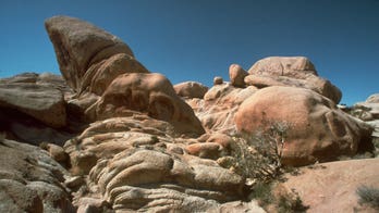 Joshua Tree National Park in 5...