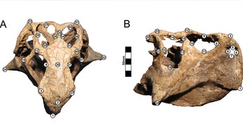Dino do-overs: Fixes to paleontology