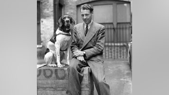 Hero Canine: How Judy saved Frank's life, survived a POW camp, a bombing and a sinking ship