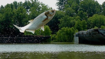 University of Michigan program aims to bolster scientific basis of Great Lakes cleanup effort