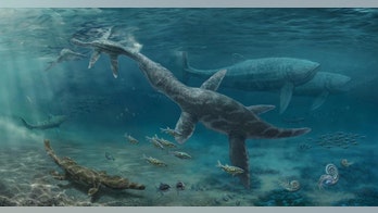 Jurassic-era monster predators flourished during extreme climate change 150M years ago