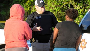 Sheriff: 4 homicides in northeastern Illinois township in less than 36 hours