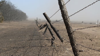 Kansas cattle ranchers struggle to recover from devastating prairie fires