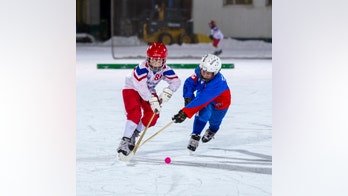 Youth hockey concussions similar to other contact sports