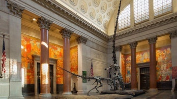 Taking the kids--and becoming a junior conservationist at one of America's premier museums