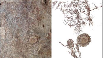 Prehistoric rock art found on tiny Indonesian island