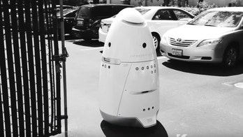 Man attacks security robot in Silicon Valley, police say