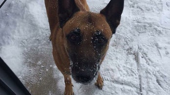 Police dog shot and killed during 25-hour standoff