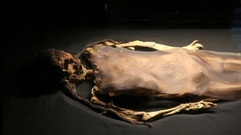 1,700 year-old mummy reconstructed in Peru using 3-D printing