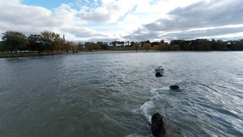 Triathlete, 75, dies after being pulled from Lake Erie during competition