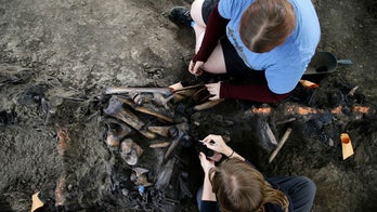 Scientists dig for fossils in Los Angeles a century later