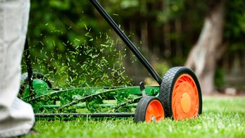 The Lazy Homeowner's Guide to Prepping the Yard for Spring