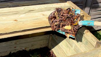 Never Rake Your Lawn Again: Leaf Control Made Easy