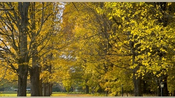 Best budget vacations for fall