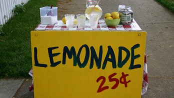 British girl fined for opening lemonade stand receives dozens of job offers