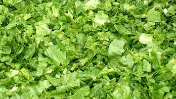 CDC: 84 Infected, 15 Dead From Listeria Outbreak