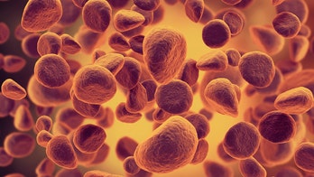 Amgen reports positive preliminary results on leukemia drug