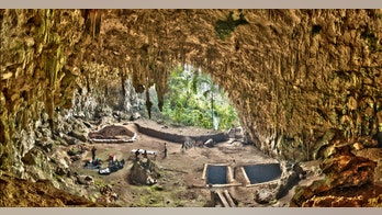 'Hobbit' found in Indonesia may have gone extinct earlier than thought