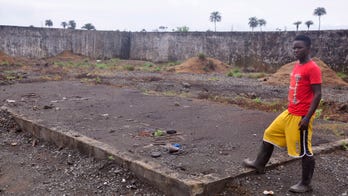 Ebola after-effects threaten food shortages in West Africa: UN