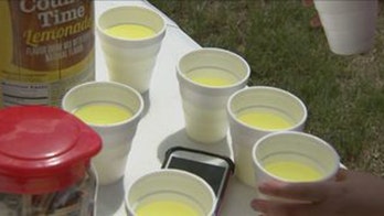 Massachusetts girl holds lemonade stand to save town library