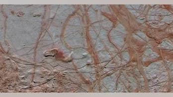 Jupiter moon Europa's ocean may have enough energy to support life