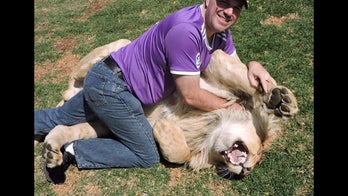Chicago tourist cuddles with lion in South Africa, lives to tell about it