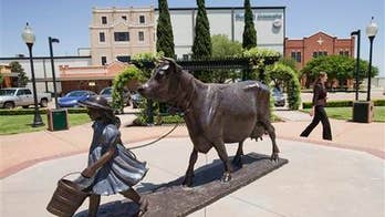 Ice cream maker Blue Bell restarts biggest plant shut for listeria