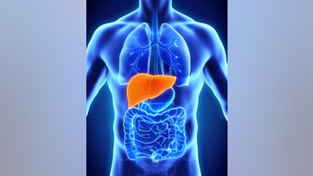 US organ network mapping a path to fairer liver transplants