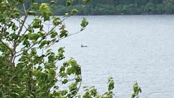 Loch Ness monster spotted? Tourists' photo sparks debate