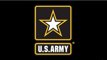 US Army settles in $180 million software piracy case
