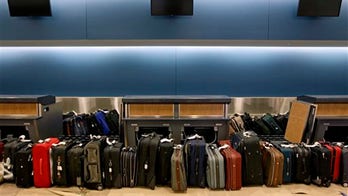 Airlines collected $3.5B in baggage fees in 2012