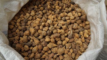 Maca: Can a root boost energy and sex drive?