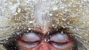 Stunning travel photos to spark wanderlust