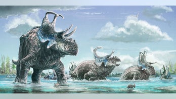 New dinosaur species discovered in American southwest