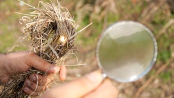 How to start campfires with mirrors and magnifying lenses