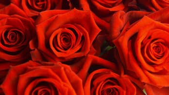 4 Rose-Based Beauty Products That Won't Give You a Headache (Seriously)