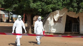 Ebola epidemic ended in West Africa but flare-ups possible, WHO says