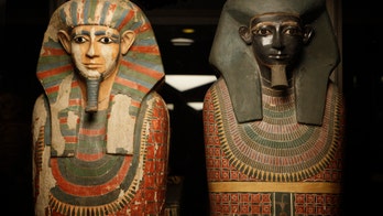Ancient 'Two Brothers' mummy mystery solved thanks to high-tech DNA test