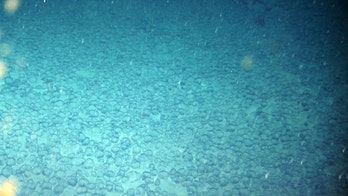 Vast bed of metal balls found in deep sea