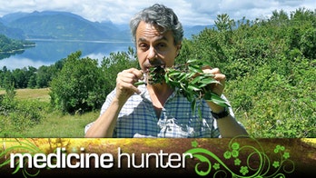 Maqui Berry: The Newest Superfruit