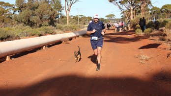 Stray dog runs half-marathon, gets a medal