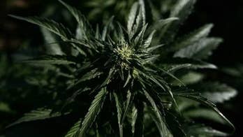 Man allegedly tries to shoot arrow with marijuana attached into Wash. jail